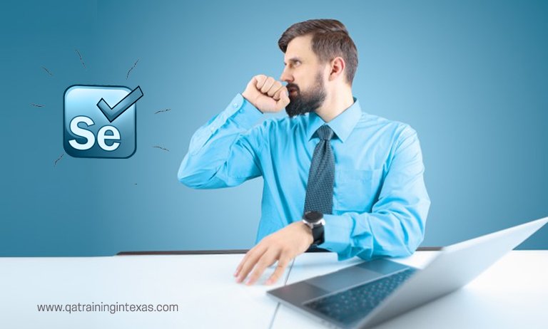 selenium training