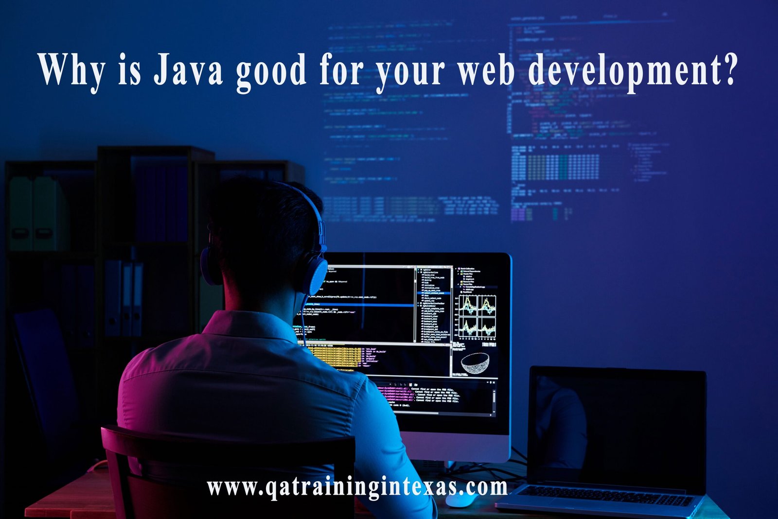 Why is Java good for your web development?